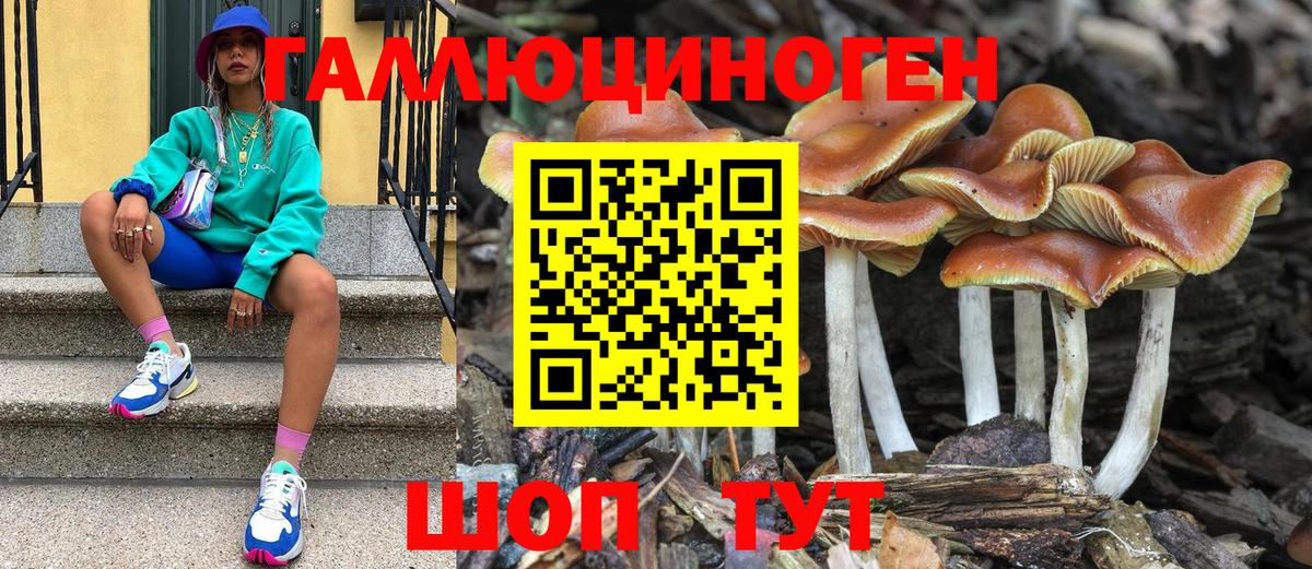 Псилоцибиновые грибы Magic Shrooms  Псилоцибиновые грибы GOLDEN TEACHER  Шатура  Вход с VPN 